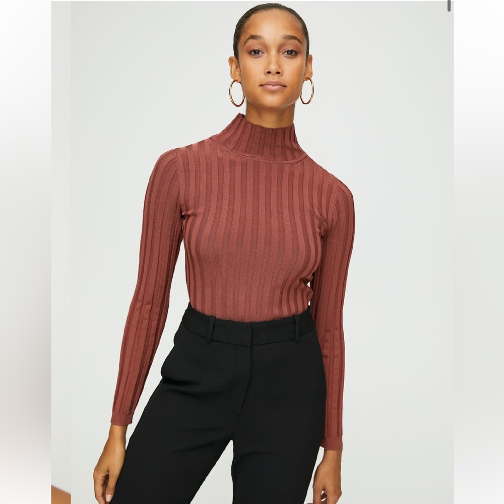 Aritzia Victor Turtleneck - S